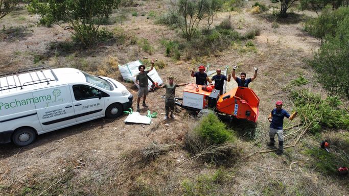 Limpieza forestal 