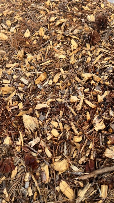Moulch wood chip